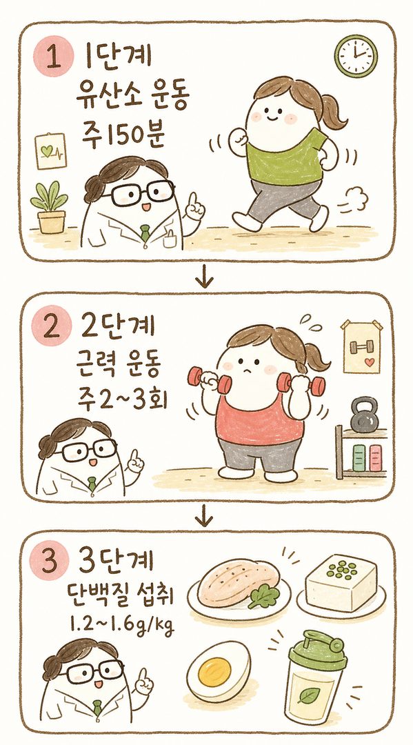 진료실의 의료진 또는 여성 캐릭터가 함께 3단계 실천 방법을 설명하는 시퀀스: 1단계(유산소), 2단계(근력), 3단계(단백질)를 화살표로 순차적으로 연결하여 단계적 접근 방식 표