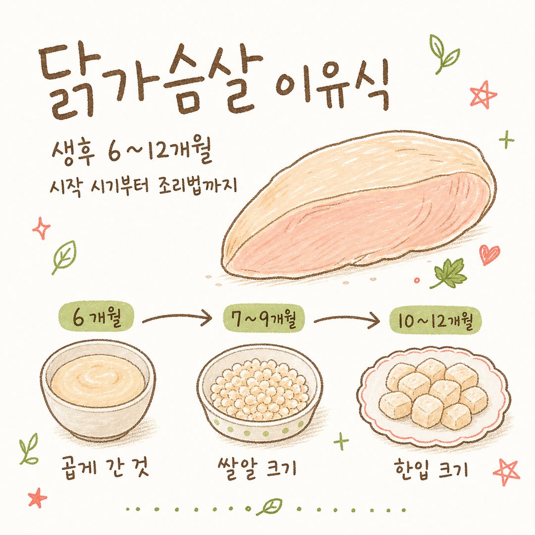 嬰兒雞胸肉副食品:從開始時間到烹飪、保存全攻略