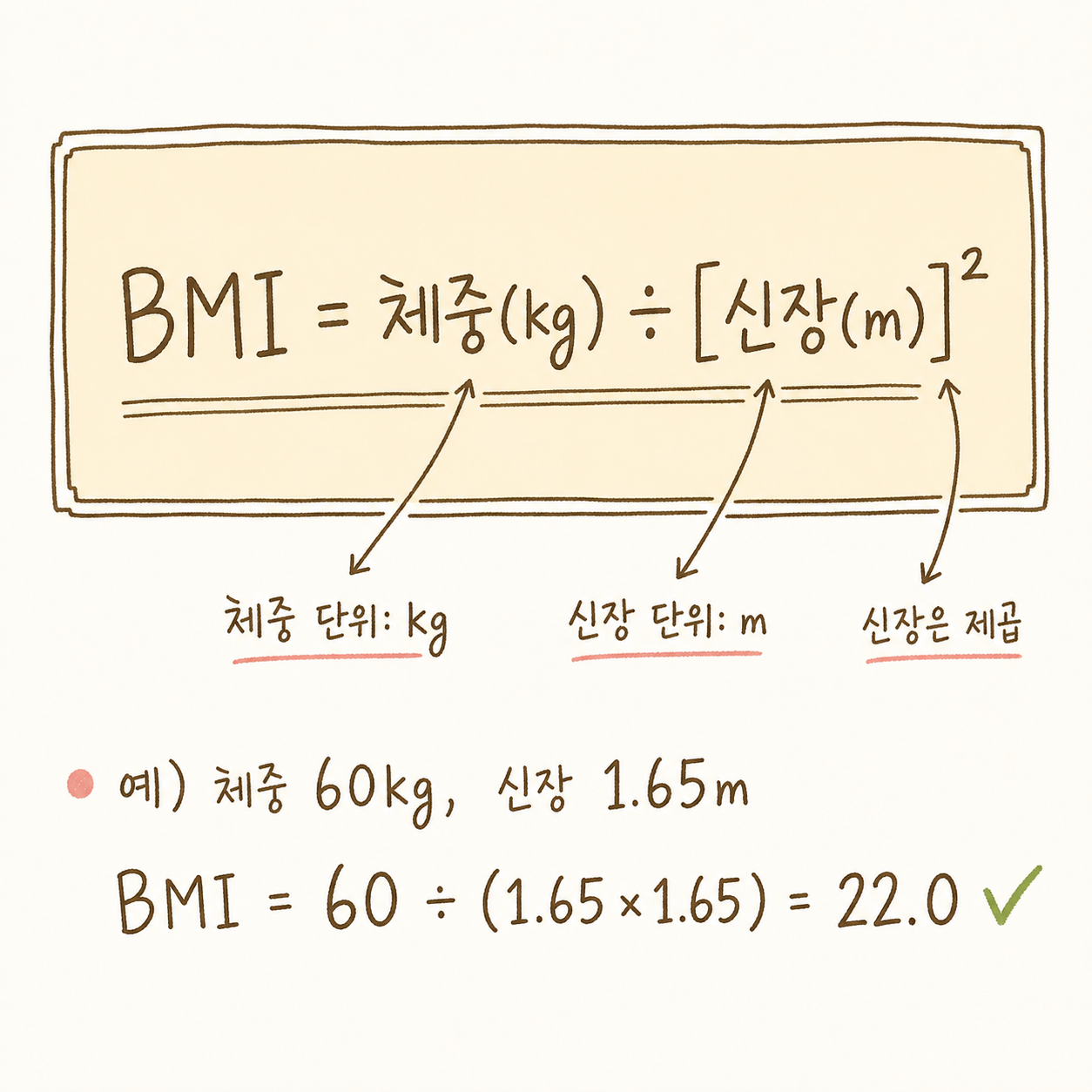 BMI 계산 공식을 강조한 박스형 수식 시각화. 이중 밑줄로 강조된 공식과 각 변수의 단위(kg, m)를 명확히 표기. 일부 병원·보건소 차트에서 사용하는 공식 스타일로 신뢰감 부