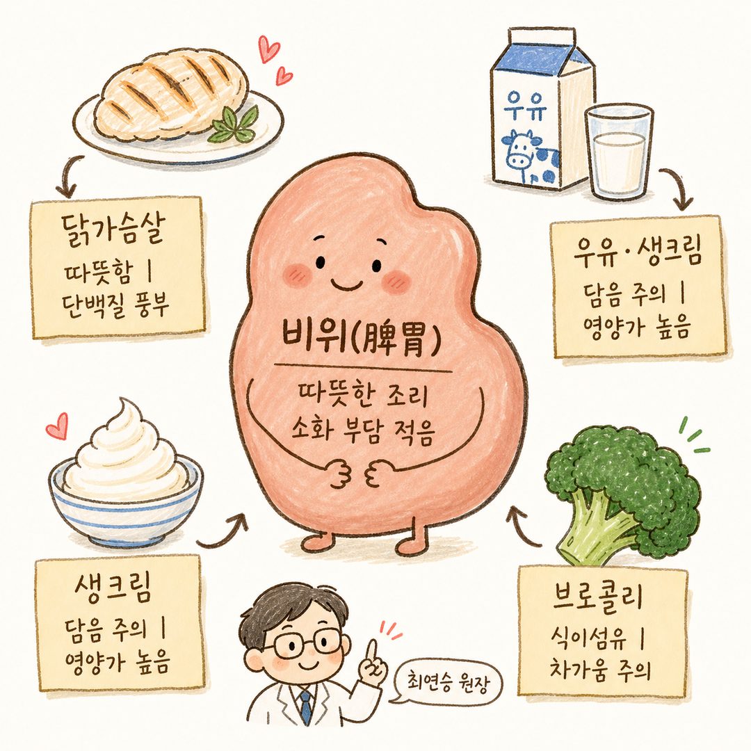 중심에 비위(脾胃) 기호를 두고 원형으로 주요 재료들(닭가슴살, 우유, 생크림, 브로콜리)을 배치. 각 재료에서 나가는 화살표와 라벨로 한의학적 성질(따뜻함, 담음 주의, 식이섬유