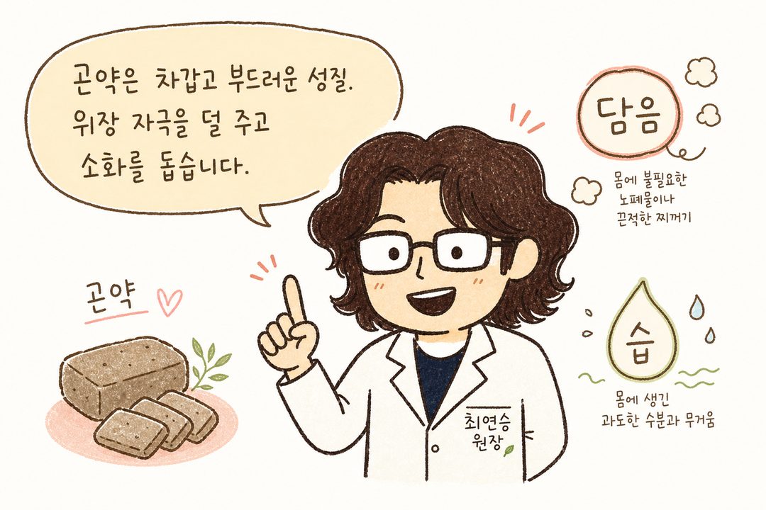 한의사 캐릭터가 곤약의 한의학적 효능을 설명하는 장면. 캐릭터가 손으로 제스처하며 설명하고 있으며, 배경에 '담음', '습' 같은 한의학 개념을 아이콘이나 텍스트로 표현. 따뜻한