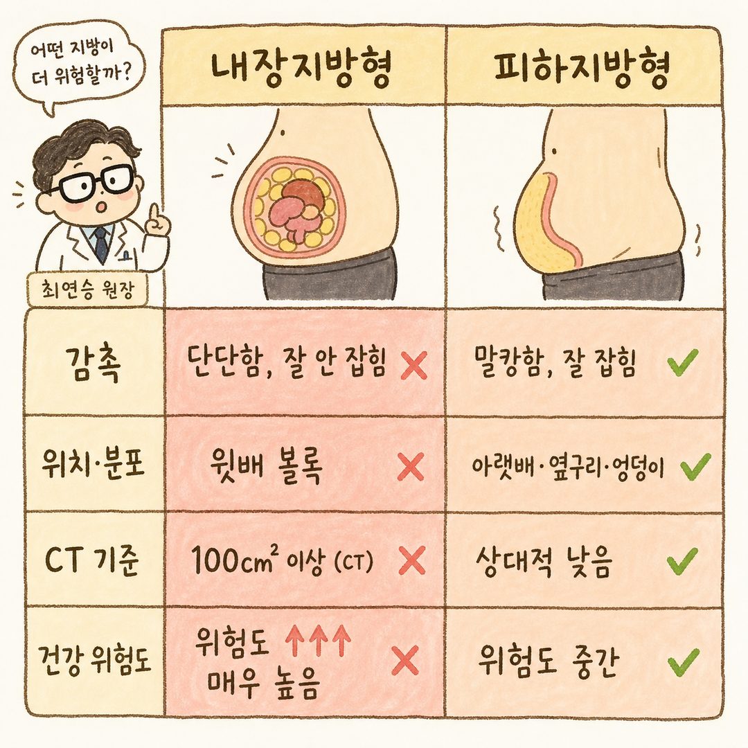 2-column comparison table for 'Visceral Fat Type' and 'Subcutaneous Fat Type.' Top row shows cross-section illustrations of the abdomen (Left: firm, protruding upper belly; Right: soft, sagging lower belly). Subsequent rows list 'Texture' and 'Location/Distribution.'