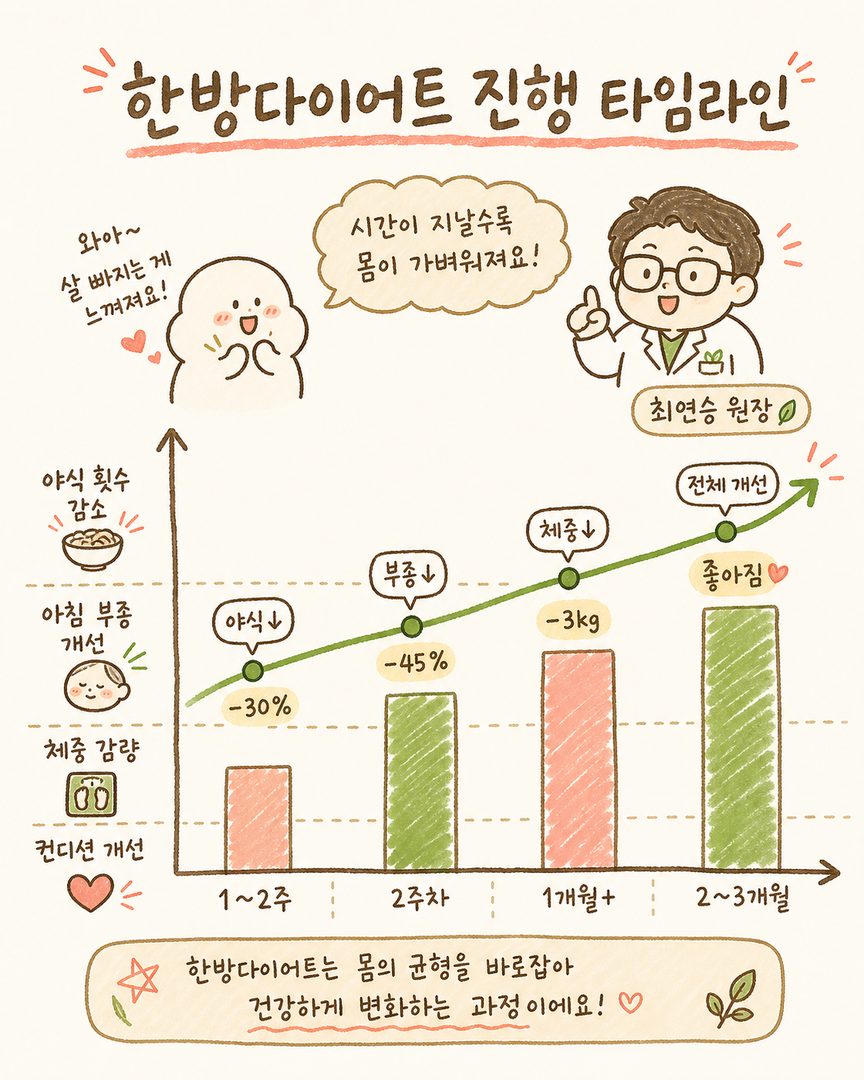 한방다이어트 진행 과정을 시간 축 꺾은선 또는 막대 차트로 표현. 가로축에 '12주 | 2주차 | 1개월+ | 23개월'을 배치하고, 세로축에 야식 횟수 감소, 아침 부종 개선