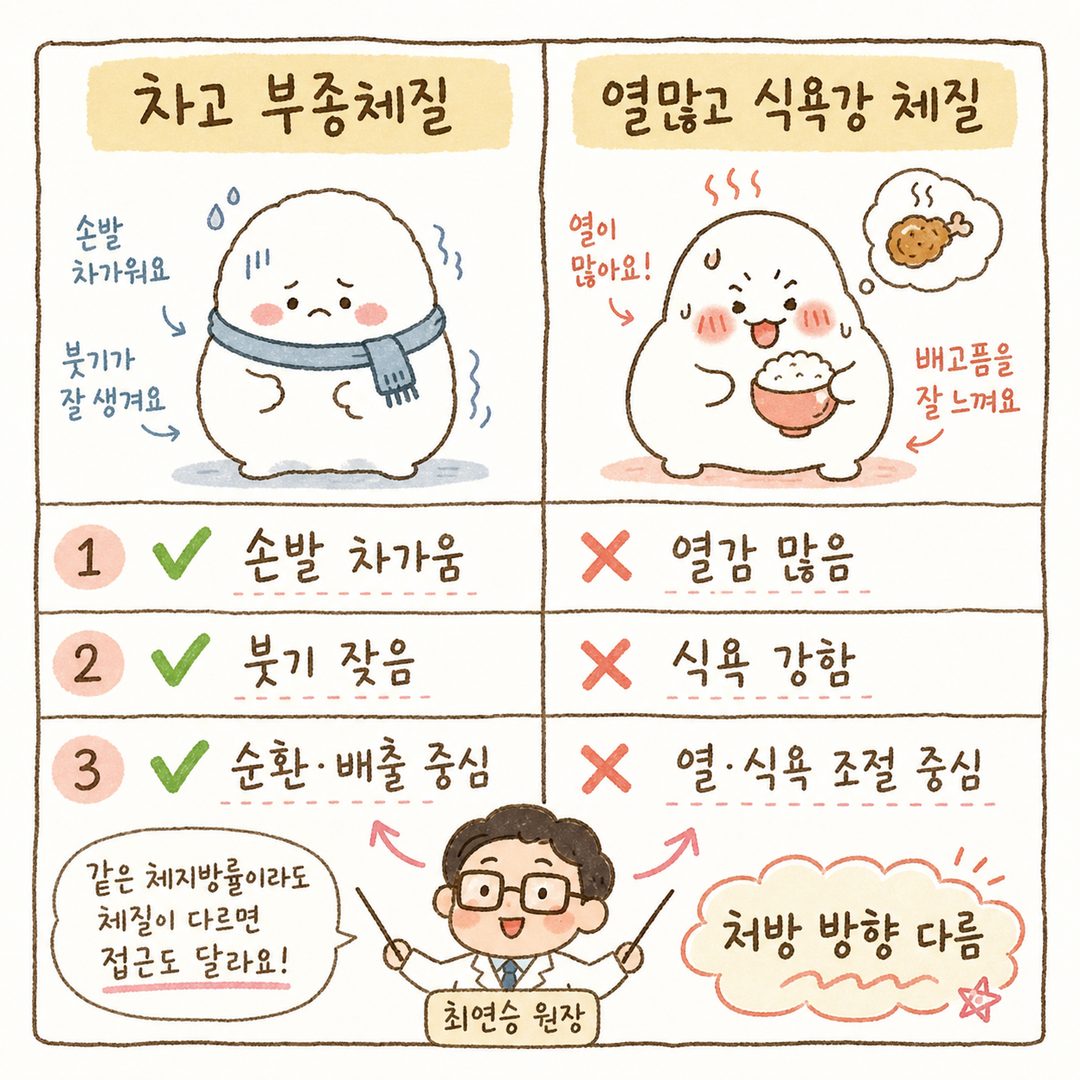 같은 체지방률이라도 체질에 따라 다른 접근이 필요함을 2x2 비교표로 표현. 좌측은 '차고 부종이 많은 체질', 우측은 '열이 있고 식욕이 강한 체질'로 나누어 각각의 특징과 한방