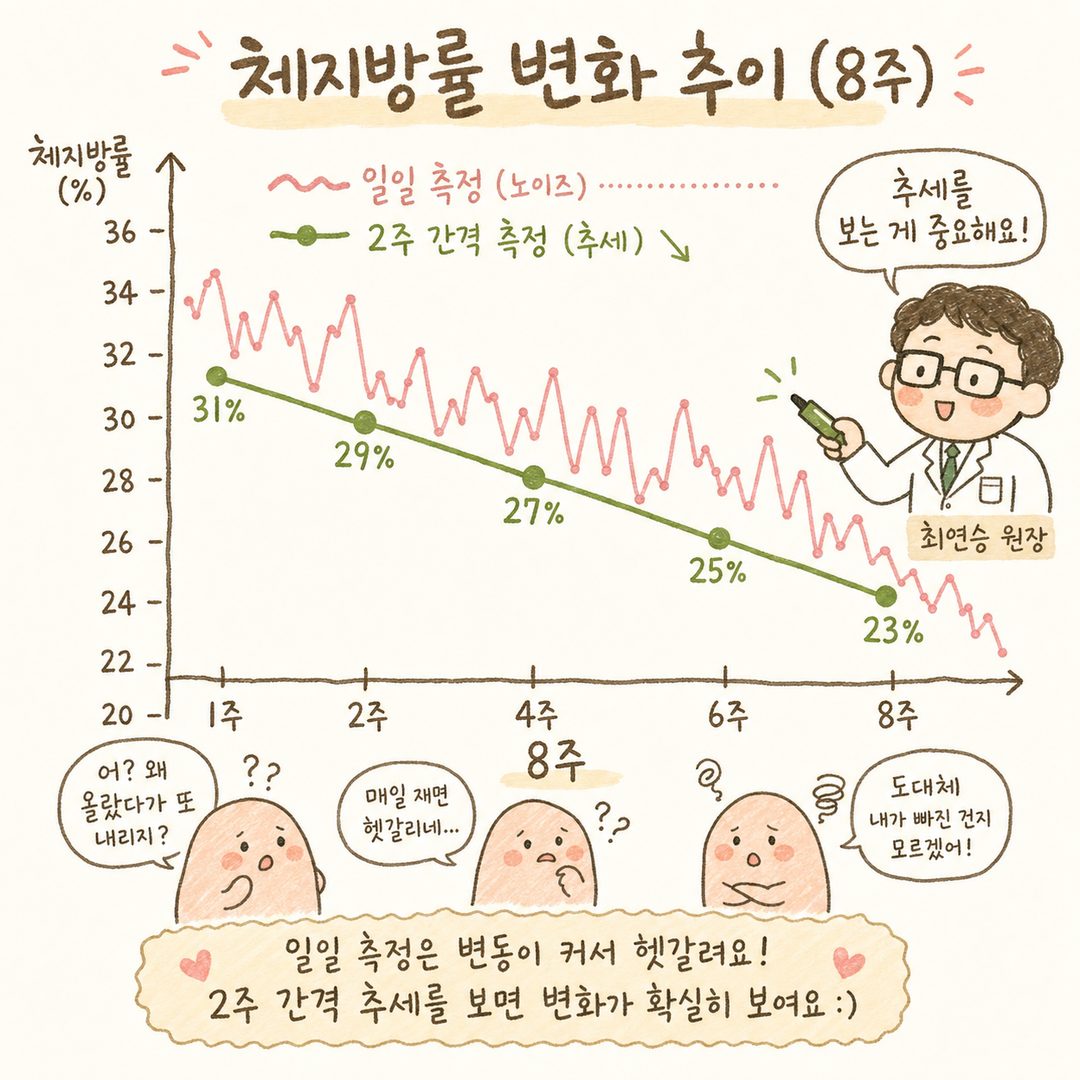 8주 간의 체지방률 변화를 꺾은선 그래프로 표현. 매일 측정했을 때의 들쭉날쭉한 노이즈 많은 선과 2주 간격 측정의 명확한 하향 추세선을 함께 표시하여 추세 읽기의 중요성을 시각적