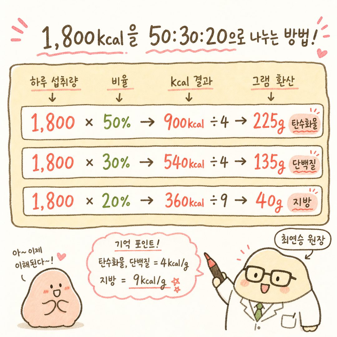하루 1,800kcal를 50:30:20으로 나누는 공식을 단계별로 표현한 박스 다이어그램. 칼로리 계산(×비율) → kcal 결과 → 그램 환산(÷kcal/g)까지의 과정을 화살