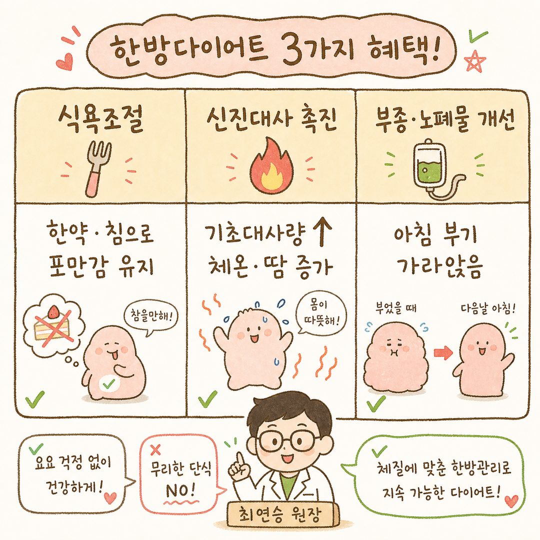 한방다이어트의 세 가지 효능을 3열 비교표로 표현. 각 칼럼에 '식욕조절 | 신진대사 촉진 | 부종·노폐물 개선' 제목과 함께 아이콘(포크·불꽃·수액)을 배치. 각 칼럼 하단에 핵