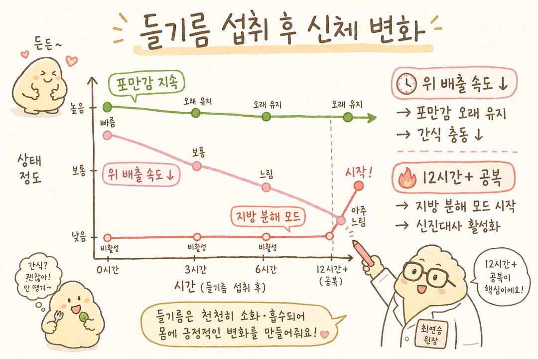 A line graph showing changes in metabolism and satiety after consuming perilla oil, visualizing gastric emptying rate, sustained satiety, and fat-burning mode activation after a 12-hour fast.