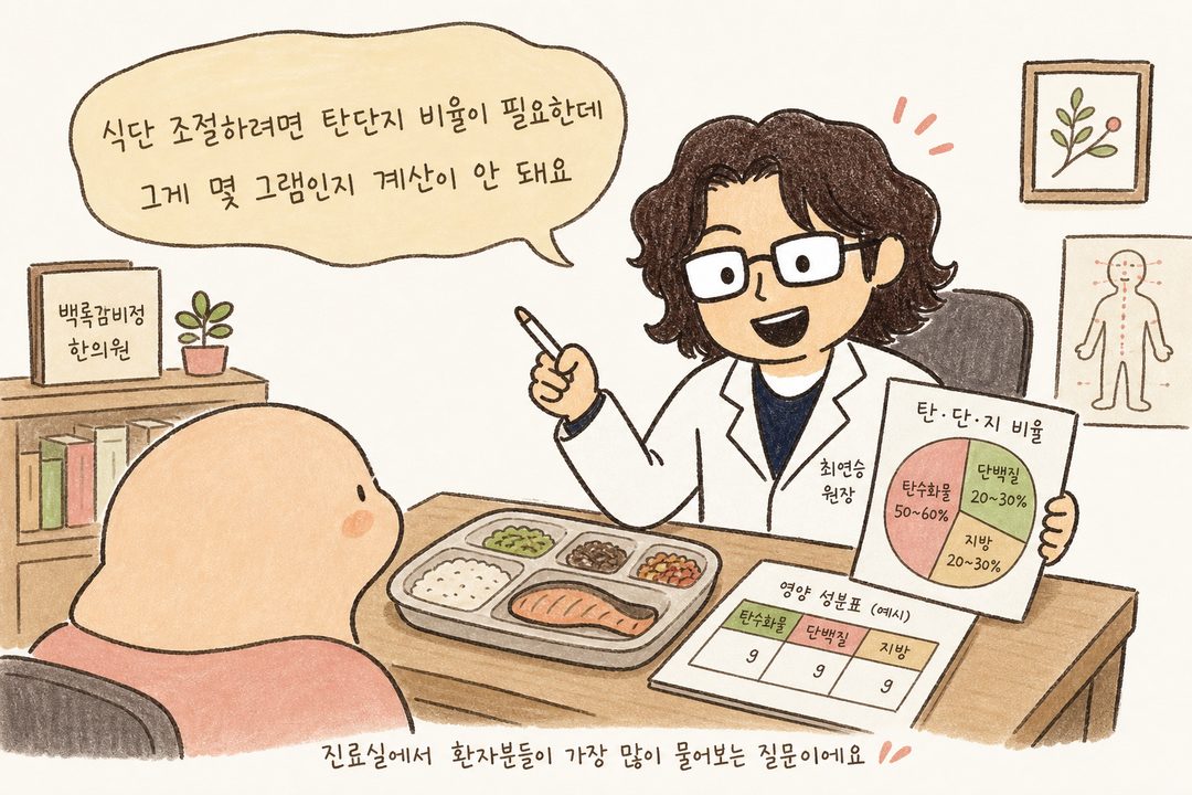 백록감비정 한의원 진료실 배경에서 의사 캐릭터가 환자와 대면하여 식판과 영양 차트를 보며 상담하는 장면. 따뜻한 톤의 조명과 책상 위 식단 자료
