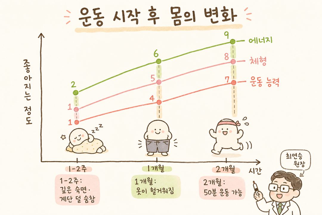 운동 시작 후 신체 변화를 시간 경과에 따라 보여주는 꺾은선 그래프 — 1-2주부터 2개월까지 에너지, 체형, 운동 능력의 개선 추이