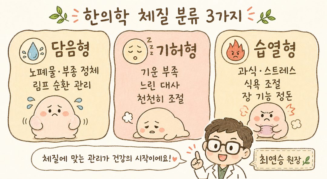 韓医学の3つの体型を区分する分類グリッド:3マスのボードで構成され、各マスに体型名、特徴アイコン、日本語の説明を含む - 痰飲型(浮腫の水滴アイコン)、気虚型(疲れた表情のアイコン)、湿熱型(熱のアイコン)