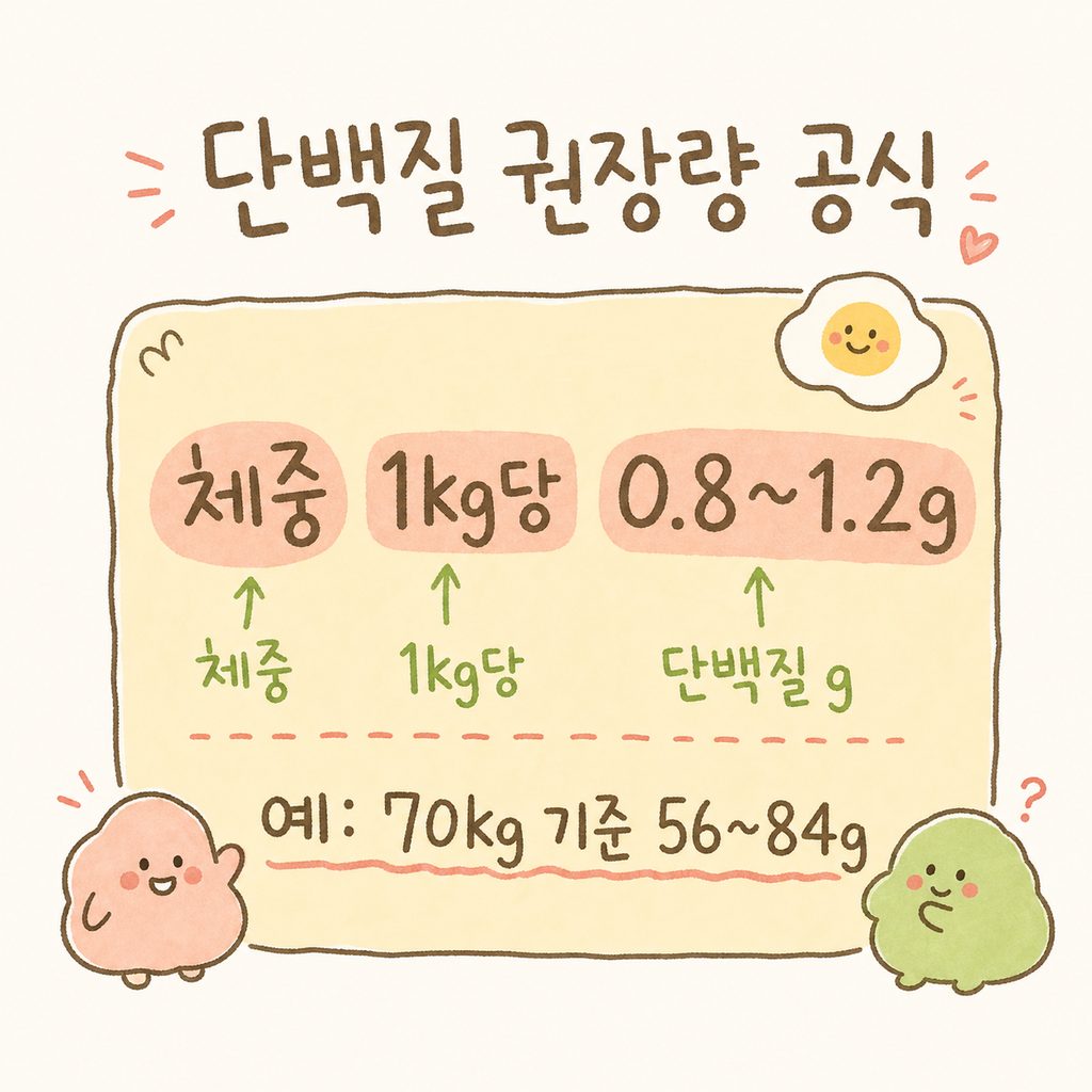 칠판이나 메모지 형태의 계산 박스. 단백질 권장량 계산 공식이 강조되어 있으며 옆에 달걀 아이콘이 그려져 있음