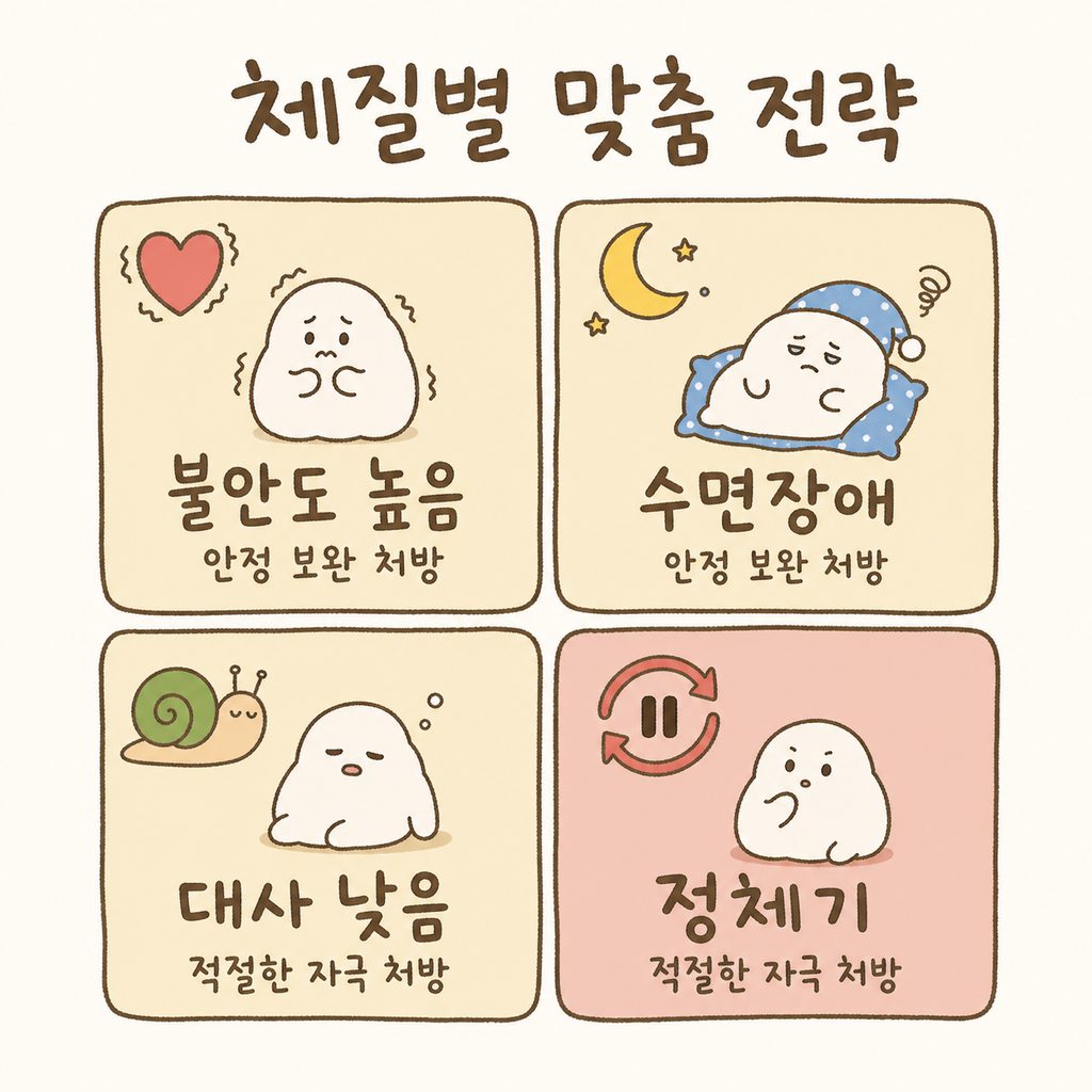 체질별 처방 방향을 보여주는 2x2 매트릭스. [불안도 높음/수면장애] vs [대사 낮음/정체기]에 따른 처방 차이