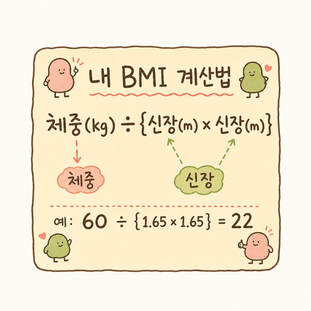깔끔한 계산 박스 형태의 디자인. BMI 계산 공식이 명확하게 적혀 있고, 체중과 키의 관계를 시각적으로 표현한 아이콘 포함