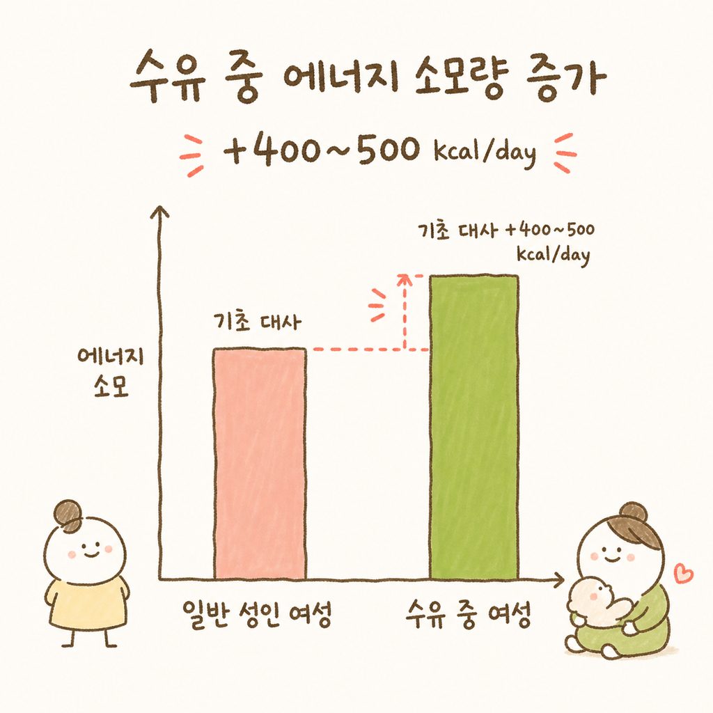 모유수유 시 에너지 소모량을 보여주는 단순한 막대 그래프. 일반 성인 여성의 기초 대사와 수유 중인 여성(약 400-500kcal 증가분)의 차이를 시각화.