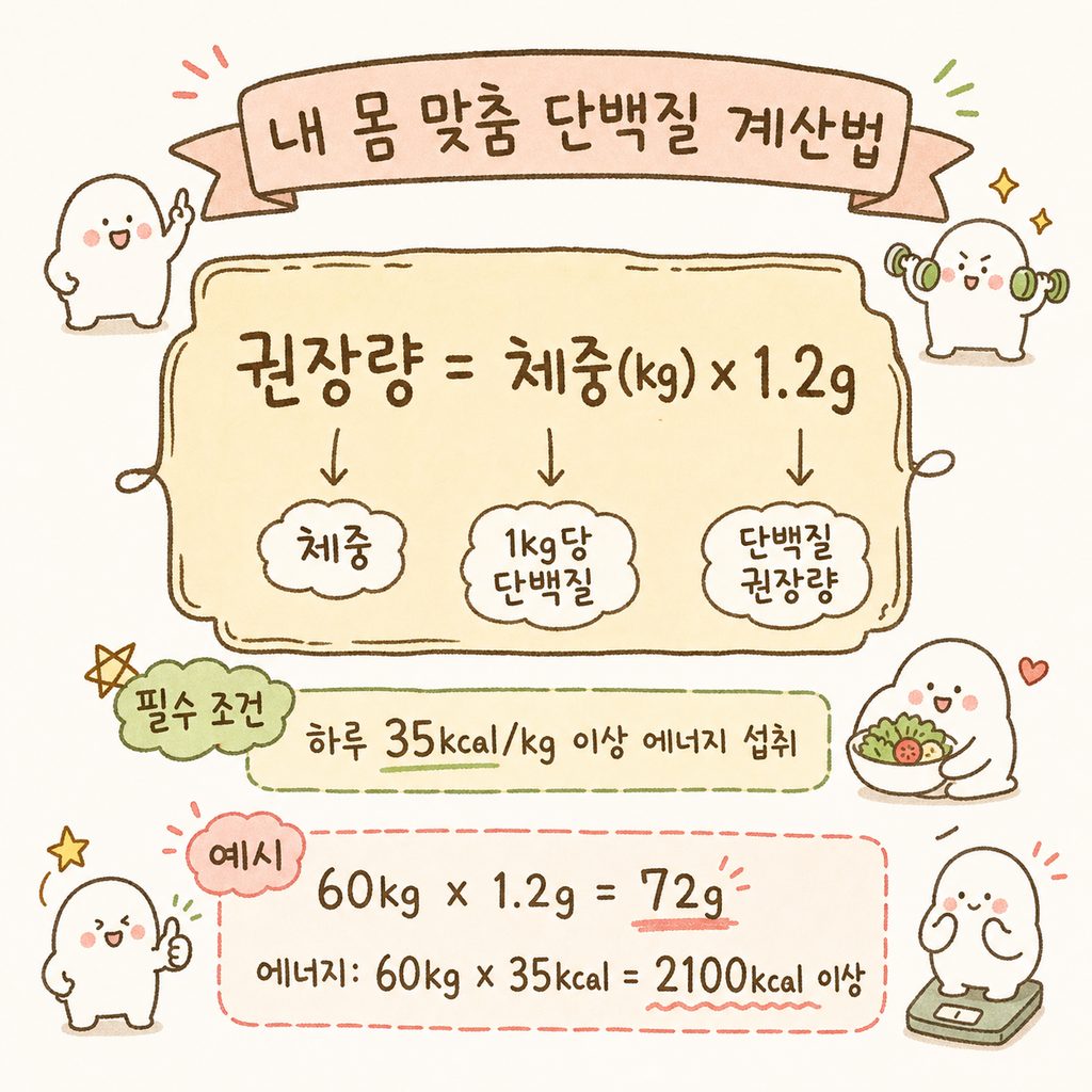 깔끔한 계산 박스 디자인. 체중과 단백질 권장량의 관계를 나타내는 수식과 에너지 섭취 기준(35kcal/kg) 강조