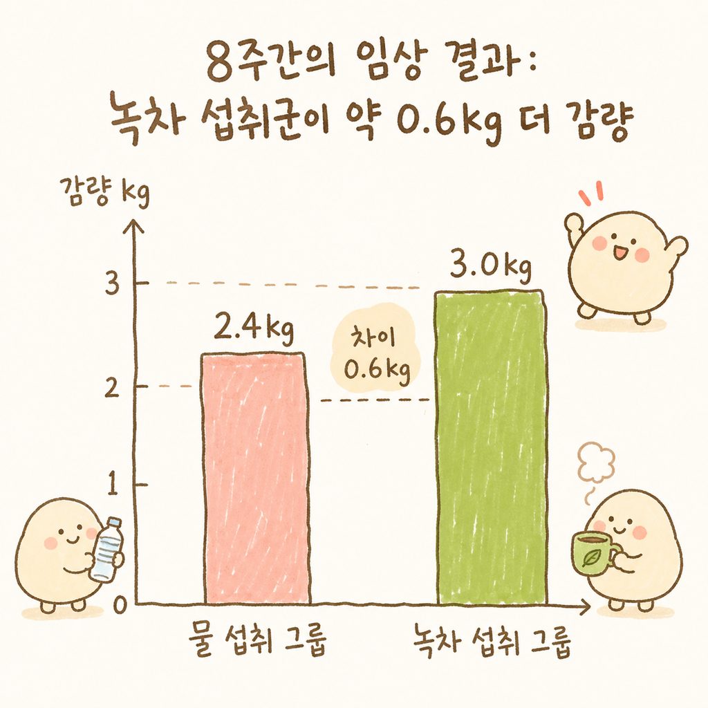 단순한 막대그래프. '물 섭취 그룹'과 '녹차 섭취 그룹' 두 개의 막대가 있으며, 녹차 그룹의 막대가 아주 조금 더 높게 표시되어 0.6kg의 미세한 차이를 시각화