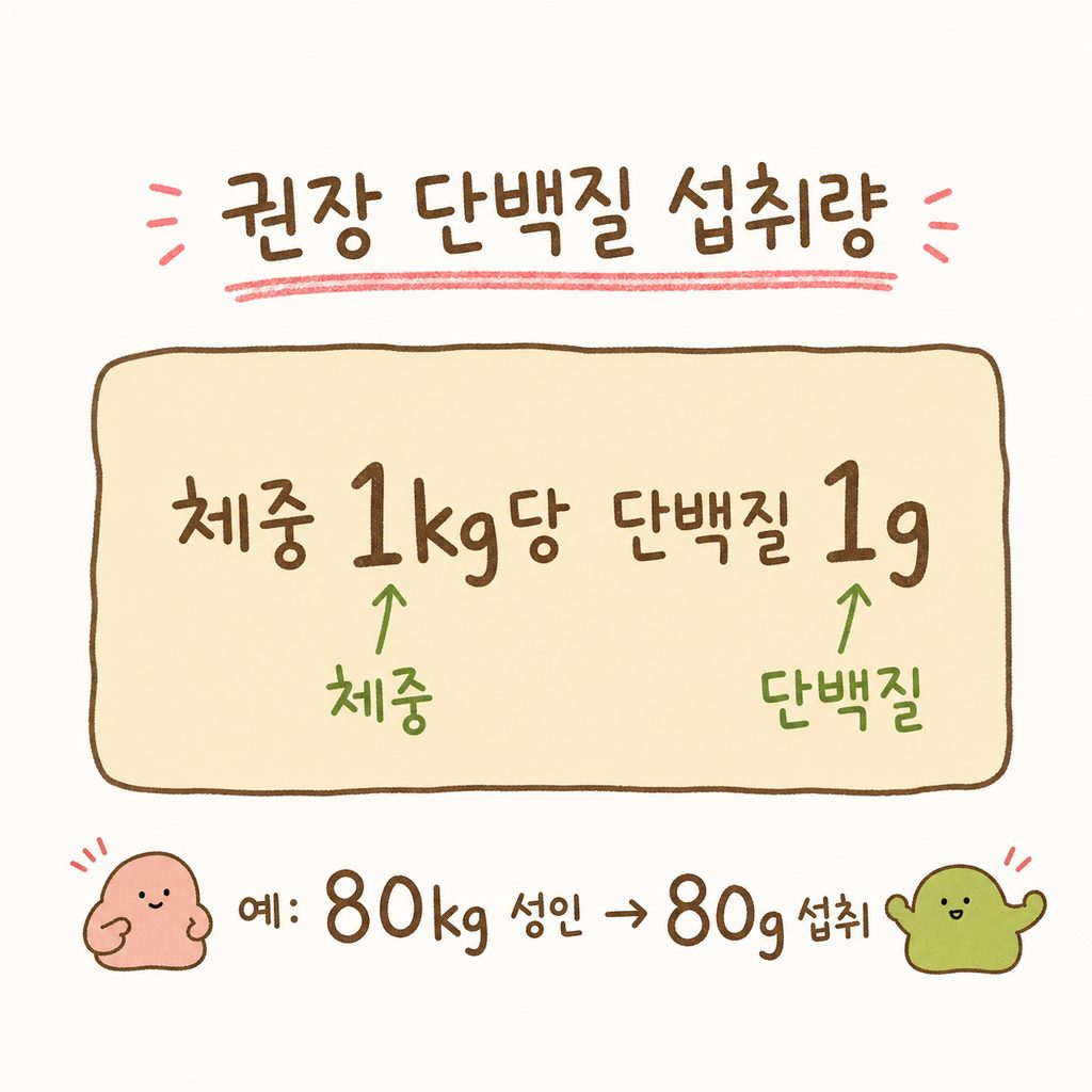A clean calculation box design showing the recommended daily protein intake formula for weight loss.