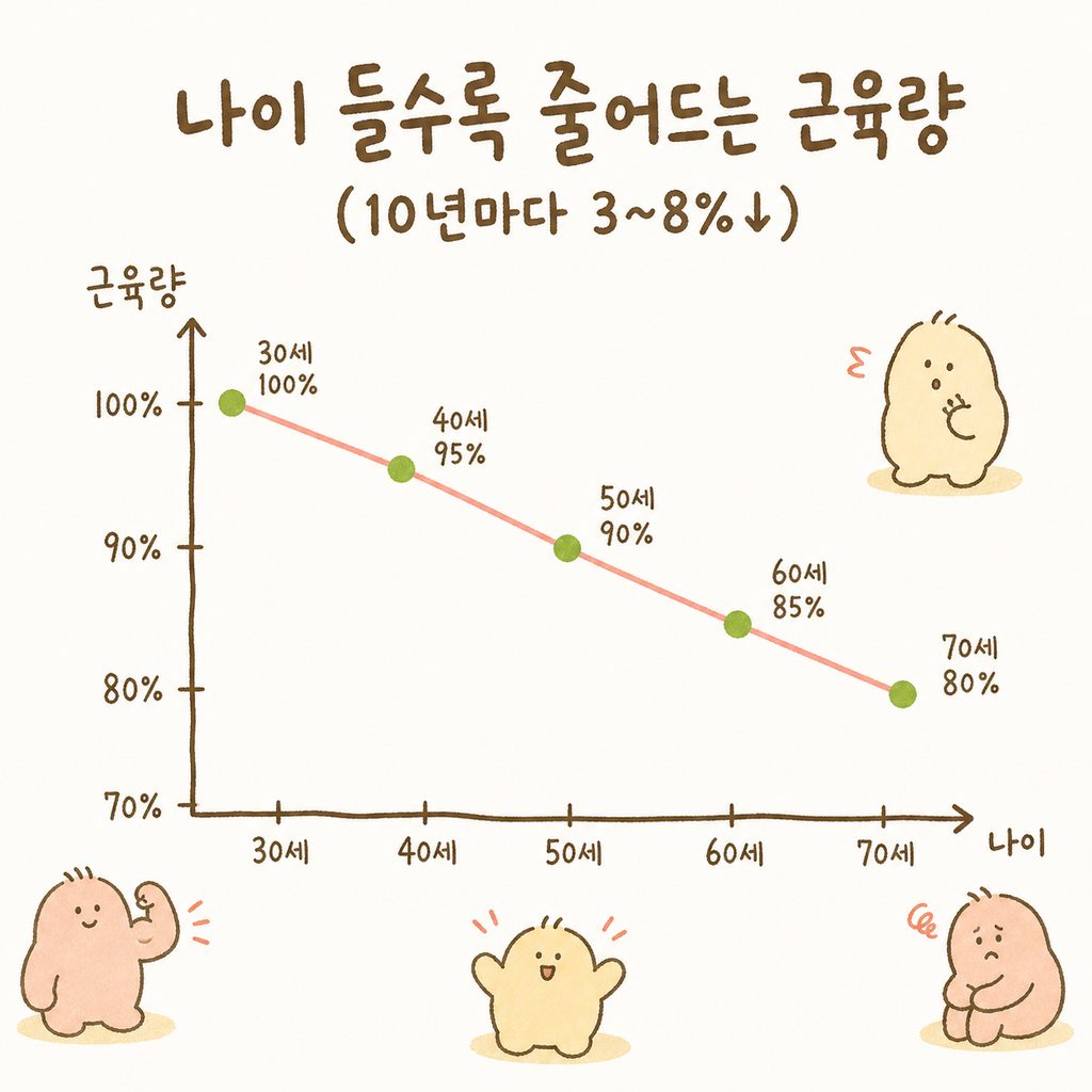 30岁以后每10年肌肉量下降3~8%的简单折线图插画