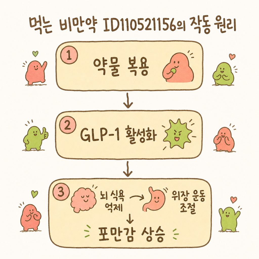 GLP-1 호르몬의 작동 원리를 보여주는 플로우차트: [약물 복용] → [GLP-1 활성화] → [뇌 식욕억제/위장운동 조절] → [포만감 상승]