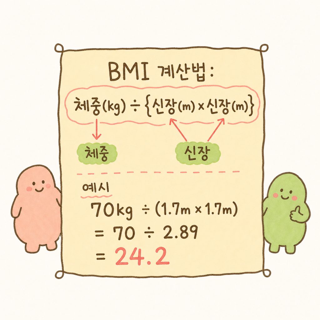 수학 공식처럼 깔끔한 박스 안에 BMI 계산식이 적혀 있고, 옆에 계산 예시(70kg / 1.7m²)가 단계적으로 표시됨