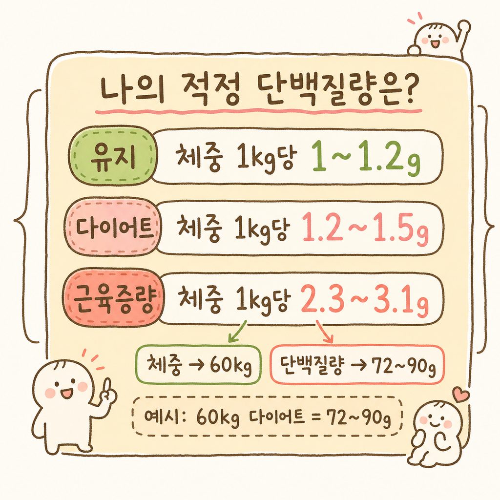 체중별 단백질 권장량을 계산하는 공식 박스. 일반 유지, 다이어트, 근육 증량 3가지 케이스를 명확하게 구분