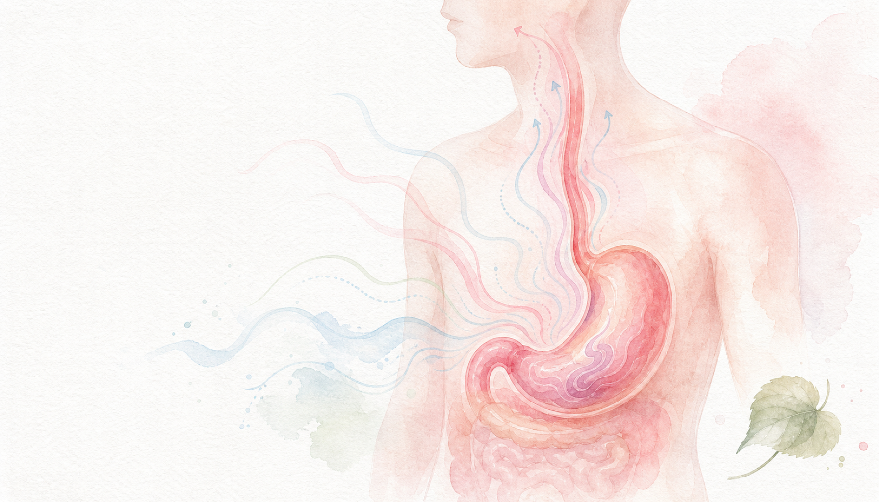 구토공포증 한방 치료 — 신경 안정 이미지