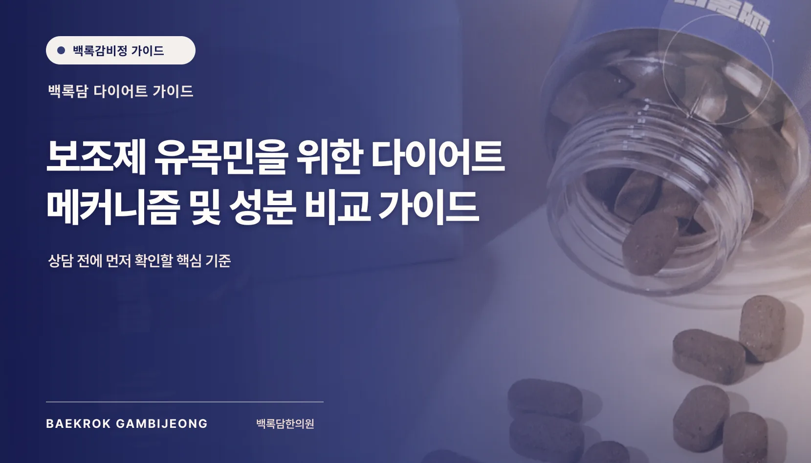 다이어트 보조제 및 단백질바 비교, 같은 선반에 있어도 역할은 다릅니다