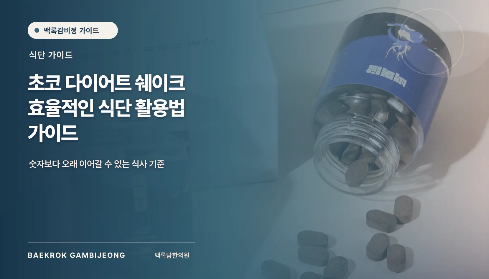 초코 다이어트 쉐이크 효율적인 식단 활용법