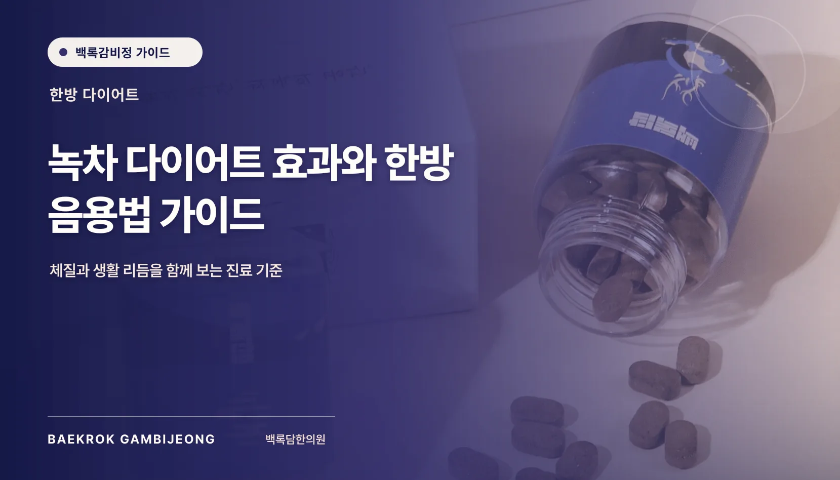 녹차 다이어트 효과와 한방 음용법 가이드