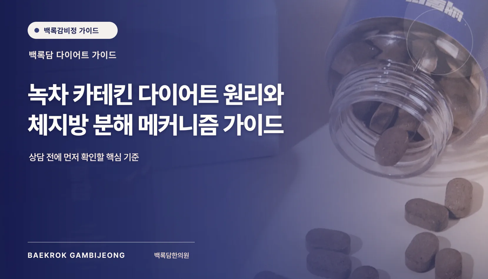 녹차 카테킨의 체지방 분해 원리와 실제 다이어트 적용 범위
