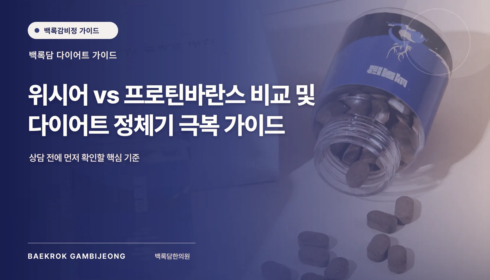 위시어·프로틴바란스 브랜드 비교 추천, 위시어와 프로틴바란스 비교, 다이어트 정체기 극복을 위한 선택 기준